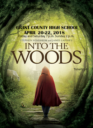Image of "Into the Woods" musical cover