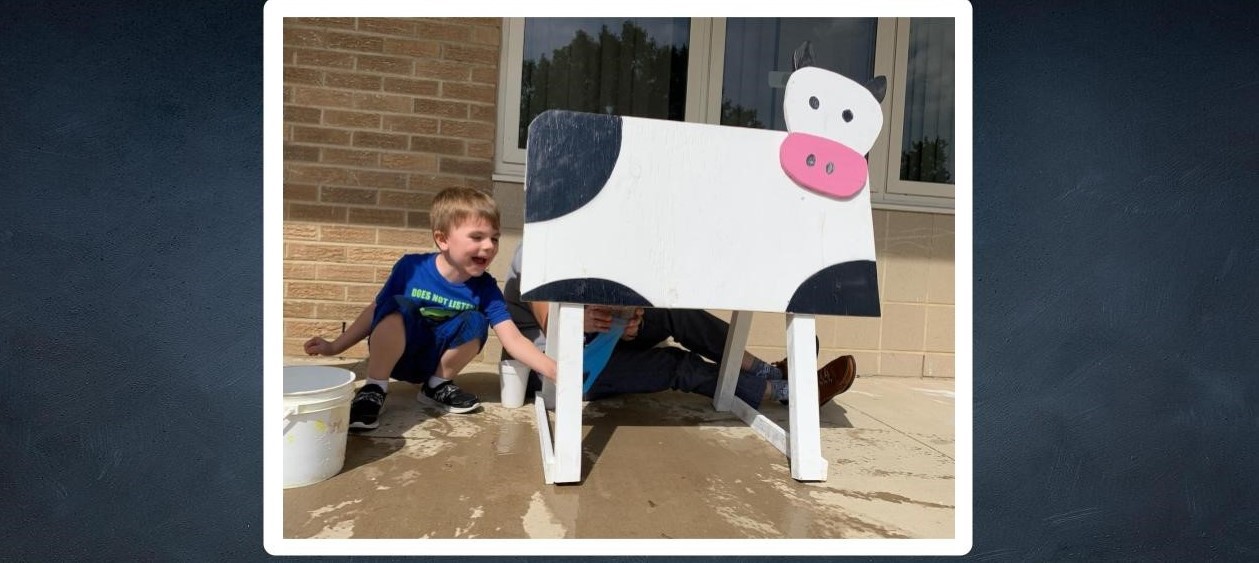 student and cow