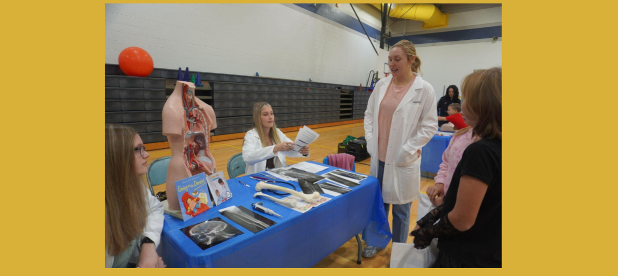 Career Presentation
