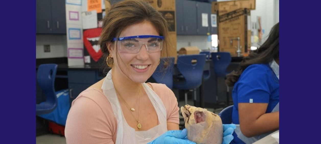 Student dissecting a pig heart in health science class