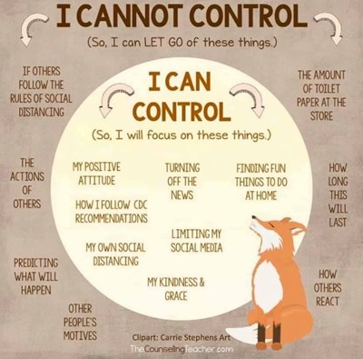 Infographic of things I can and cannot control
